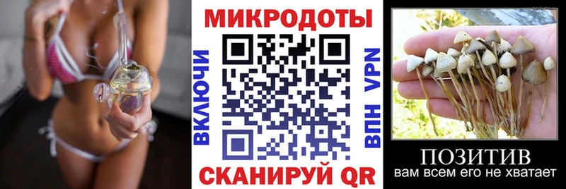 Псилоцибиновые грибы GOLDEN TEACHER  купить наркоту  Норильск 
